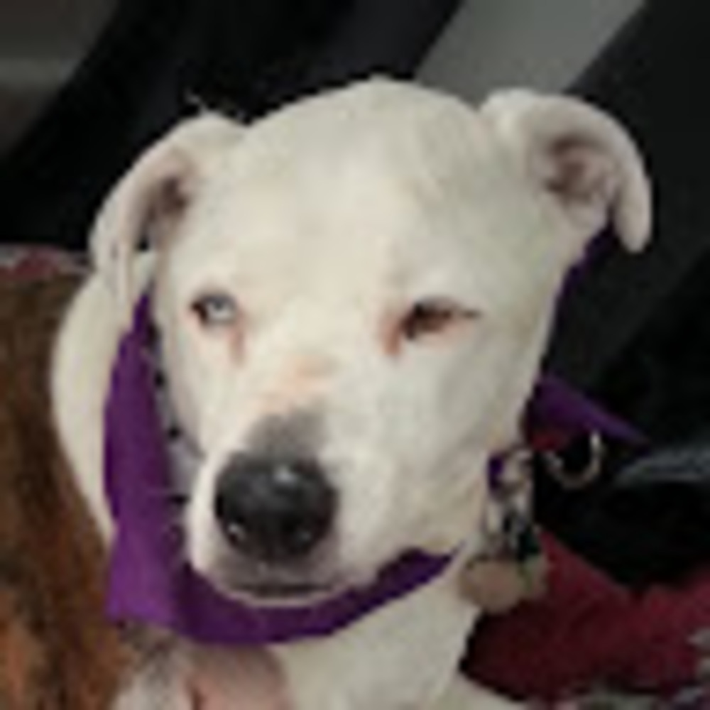 Meet your Posher, Kecia